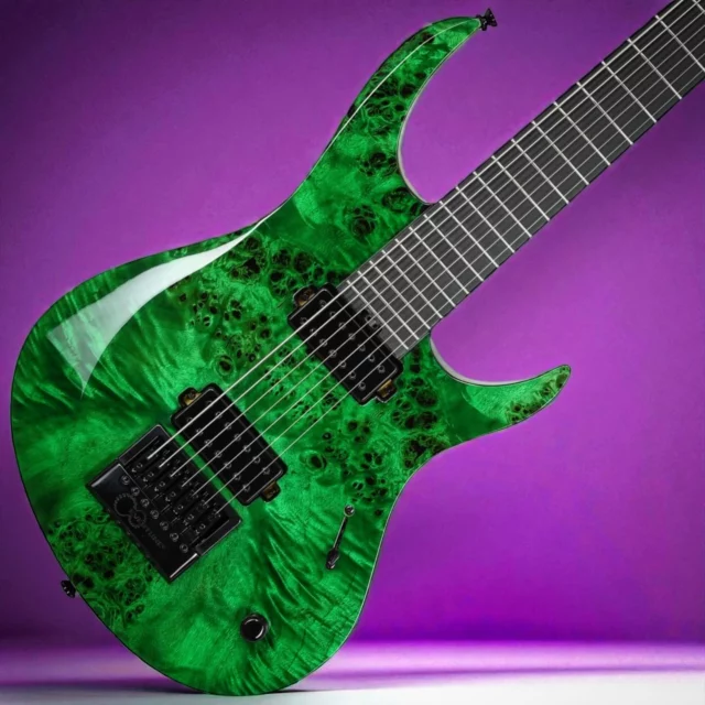 Balaguer ギター Balaguer Guitars